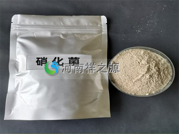 �������N